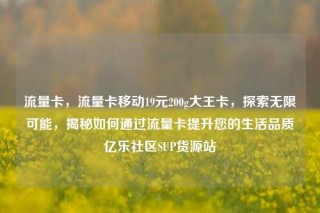 流量卡，流量卡移动19元200g大王卡，探索无限可能，揭秘如何通过流量卡提升您的生活品质亿乐社区SUP货源站