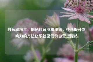 抖音刷粉丝，揭秘抖音涨粉秘籍，快速提升影响力的方法亿乐社区低价自营货源站