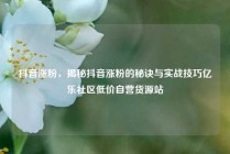 抖音涨粉，揭秘抖音涨粉的秘诀与实战技巧亿乐社区低价自营货源站