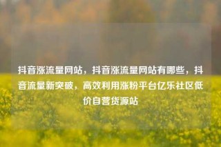 抖音涨流量网站，抖音涨流量网站有哪些，抖音流量新突破，高效利用涨粉平台亿乐社区低价自营货源站