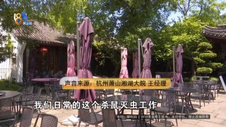 吃完饭一出包厢被大老鼠吓坏了，当事人：退一赔十