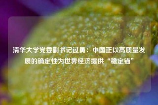 清华大学党委副书记过勇：中国正以高质量发展的确定性为世界经济提供“稳定锚”