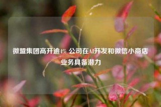 微盟集团高开逾4% 公司在AI开发和微信小商店业务具备潜力