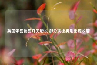 美国零售销售几无增长 部分支出类别出现收缩