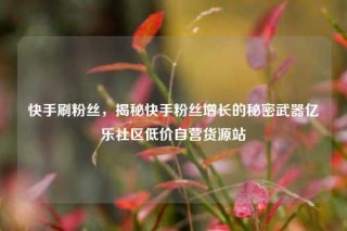 快手刷粉丝，揭秘快手粉丝增长的秘密武器亿乐社区低价自营货源站