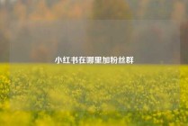 小红书在哪里加粉丝群