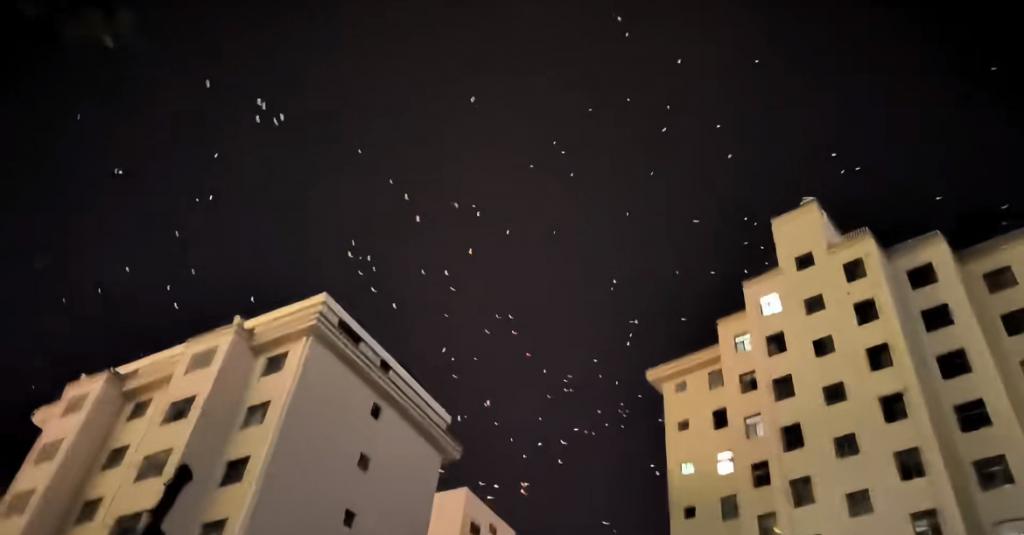 甘肃一地现大量飞鸟在天空盘旋,有网友担心为地震前兆,地震局:鸟类聚集并非特别异常 第1张 甘肃一地现大量飞鸟在天空盘旋,有网友担心为地震前兆,地震局:鸟类聚集并非特别异常 第1张