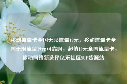 移动流量卡全国无限流量19元，移动流量卡全国无限流量19元可靠吗，超值19元全国流量卡，移动网络新选择亿乐社区SUP货源站  第1张