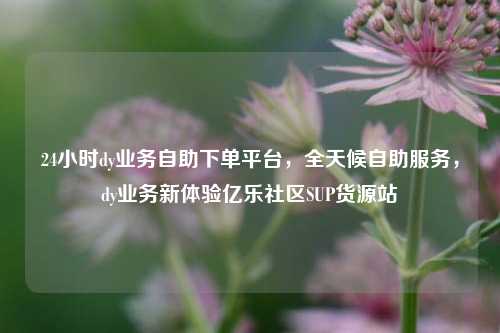 24小时dy业务自助下单平台	，全天候自助服务，dy业务新体验亿乐社区SUP货源站  第1张