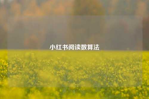 小红书阅读数算法  第1张