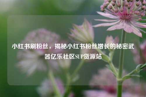 小红书刷粉丝，揭秘小红书粉丝增长的秘密武器亿乐社区SUP货源站  第1张