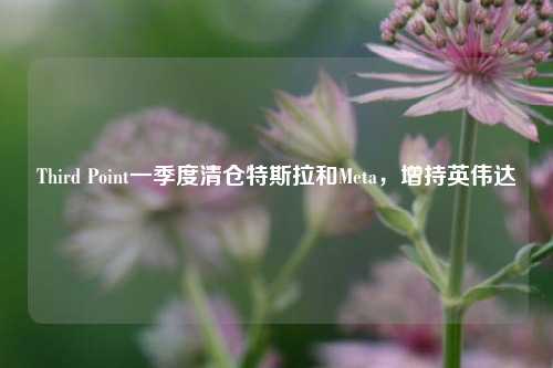 Third Point一季度清仓特斯拉和Meta
,增持英伟达 第1张 Third Point一季度清仓特斯拉和Meta,增持英伟达 第1张