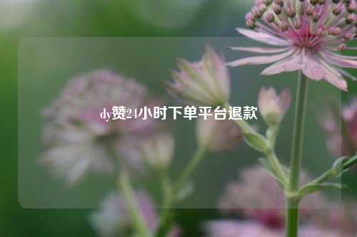dy赞24小时下单平台退款  第1张
