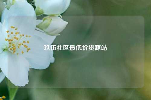 玖伍社区最低价货源站  第1张