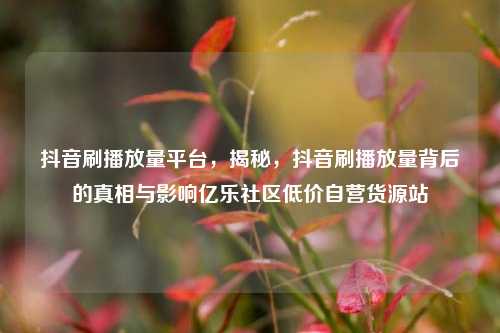 抖音刷播放量平台	，揭秘，抖音刷播放量背后的真相与影响亿乐社区低价自营货源站  第1张