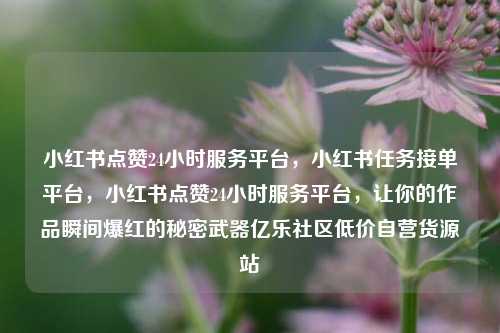小红书点赞24小时服务平台，小红书任务接单平台，小红书点赞24小时服务平台，让你的作品瞬间爆红的秘密武器亿乐社区低价自营货源站  第1张