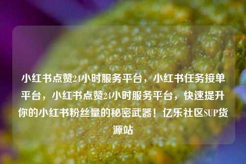 小红书点赞24小时服务平台，小红书任务接单平台，小红书点赞24小时服务平台	，快速提升你的小红书粉丝量的秘密武器！亿乐社区SUP货源站  第1张