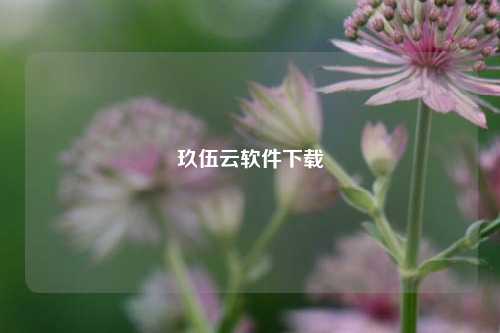 玖伍云软件下载  第1张