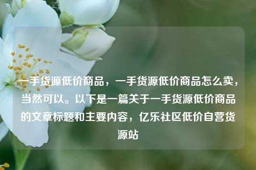 一手货源低价商品，一手货源低价商品怎么卖	，当然可以。以下是一篇关于一手货源低价商品的文章标题和主要内容，亿乐社区低价自营货源站  第1张