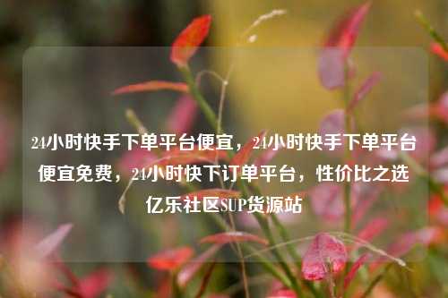 24小时快手下单平台便宜，24小时快手下单平台便宜免费，24小时快下订单平台	，性价比之选亿乐社区SUP货源站  第1张