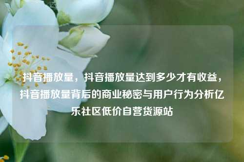 抖音播放量，抖音播放量达到多少才有收益，抖音播放量背后的商业秘密与用户行为分析亿乐社区低价自营货源站  第1张