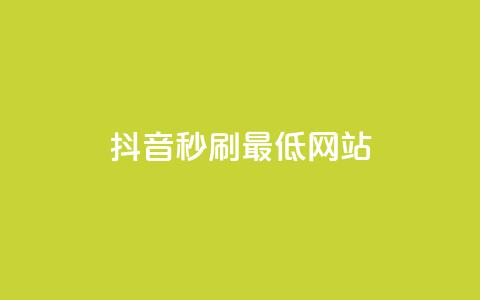 抖音秒刷最低网站 - 抖音秒刷必看：网站流量优化技巧!  第1张