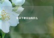 快手下单平台叫什么