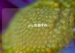 qqvip充值中心