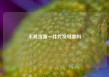 手机货源一件代发可靠吗