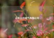 山东山开电气有限公司
