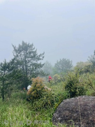 8岁男童登山失联12天，搜救仍在继续，专业人士：是否终止救援主要看两点