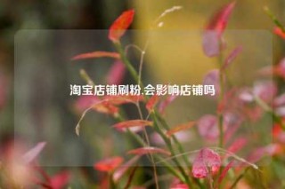 淘宝店铺刷粉,会影响店铺吗