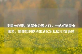 流量卡办理，流量卡办理入口，一站式流量卡服务，便捷您的移动生活亿乐社区SUP货源站