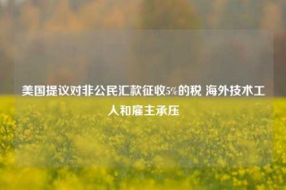 美国提议对非公民汇款征收5%的税 海外技术工人和雇主承压