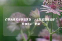 行政执法监督典型案例：人工智能精准监督“检查扰企”问题