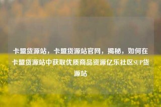 卡盟货源站，卡盟货源站官网，揭秘，如何在卡盟货源站中获取优质商品资源亿乐社区SUP货源站