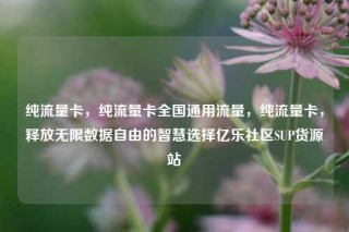 纯流量卡，纯流量卡全国通用流量，纯流量卡，释放无限数据自由的智慧选择亿乐社区SUP货源站
