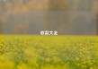 收款大全