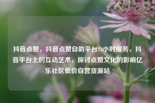 抖音点赞，抖音点赞自助平台24小时服务，抖音平台上的互动艺术，探讨点赞文化的影响亿乐社区低价自营货源站