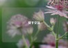 骑手交流