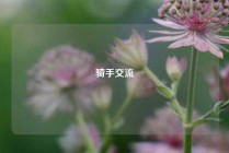 骑手交流