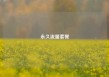 永久流量套餐