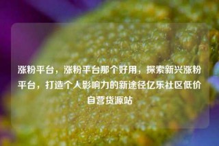 涨粉平台，涨粉平台那个好用，探索新兴涨粉平台，打造个人影响力的新途径亿乐社区低价自营货源站