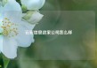 云宏信息这家公司怎么样