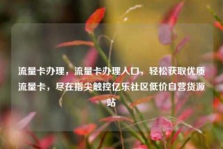 流量卡办理，流量卡办理入口，轻松获取优质流量卡，尽在指尖触控亿乐社区低价自营货源站