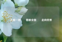 扎根一地  着眼全国  走向世界