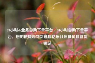 24小时dy业务自助下单平台，24小时自助下单平台，您的便捷购物新选择亿乐社区低价自营货源站