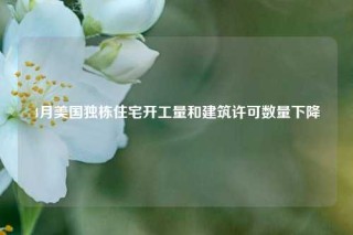4月美国独栋住宅开工量和建筑许可数量下降