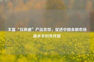 丰富“互换通”产品类型，促进中国金融市场高水平对外开放