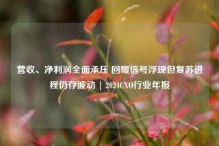 营收、净利润全面承压 回暖信号浮现但复苏进程仍存波动 | 2024CXO行业年报
